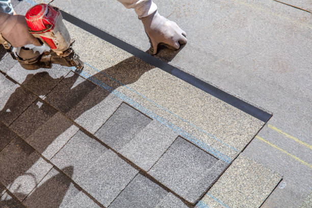 Best Roof Leak Repair  in Belzoni, MS